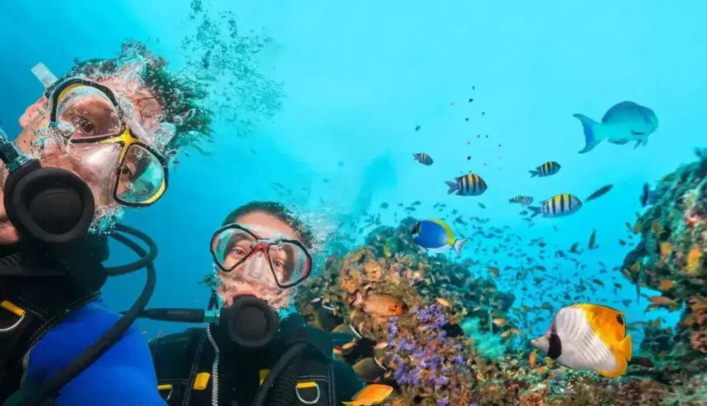 Alanya'da tüplü dalış yapan bir dalgıcın deniz altı görüntüsü