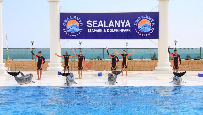 Alanya Yunus Şovu