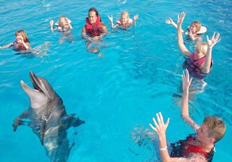 Belek'ten Yunuslarla Yüzme Turu