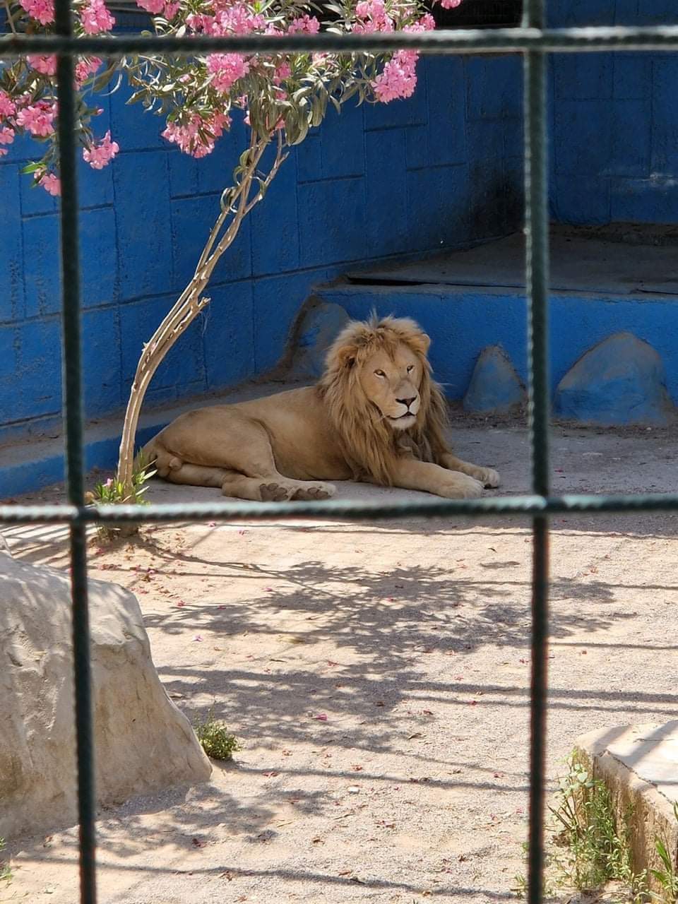 Alanya Green Canyon Monster Safari Turu
