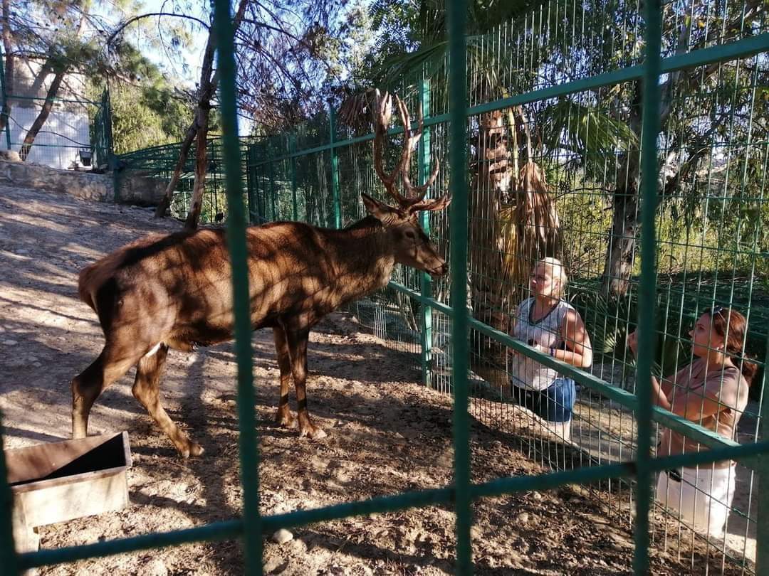 Alanya Green Canyon Monster Safari Turu