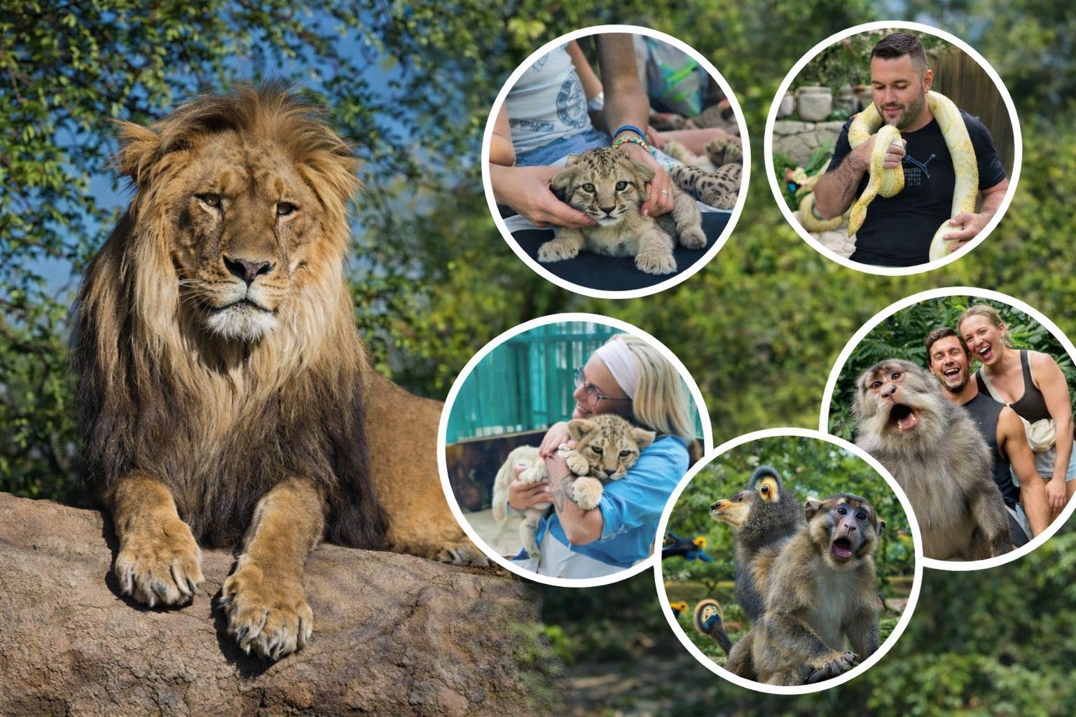 Lucky Monkey Safari ve Green Kanyon Turu