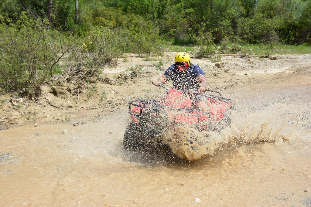 Side Buggy Safari