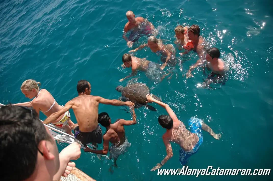 Alanya Katamaran Tekne Turu