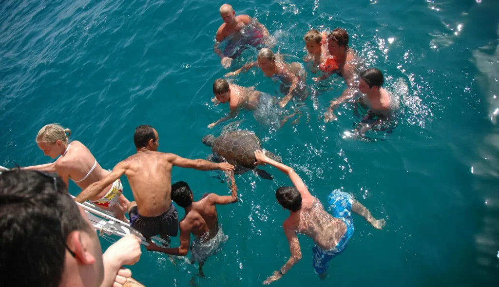 Alanya Catamaran Boat Tour with swimming breaks, music, sea views and Mediterranean coastline