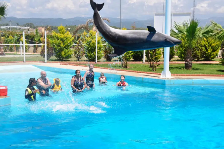 Alanya: Delfin- und Seelöwenshow &amp; Schwimmen mit Delfinen