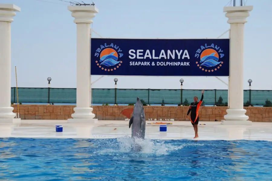 Alanya: Delfin- und Seelöwenshow &amp; Schwimmen mit Delfinen