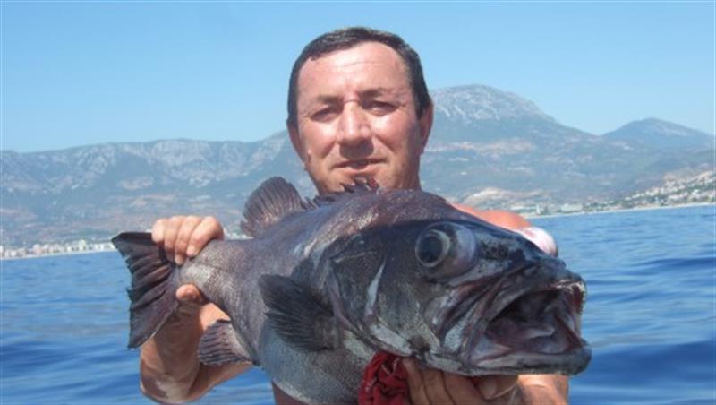 Alanya Fishing Tour with boat trip, sea fishing and scenic Mediterranean views