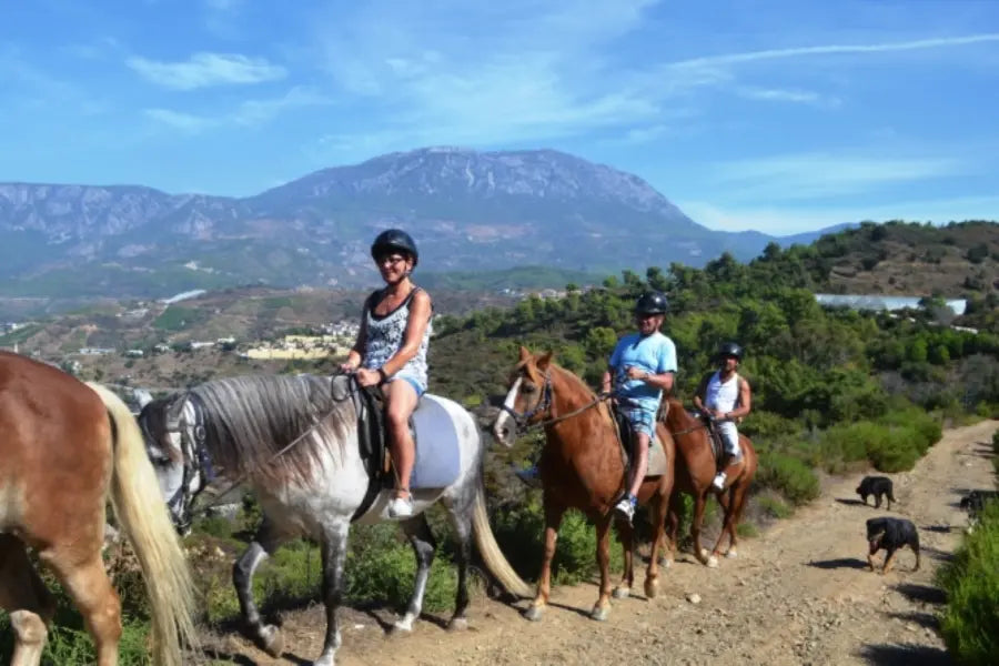 Alanya Horse Riding Tour: Horseback Riding Adventure