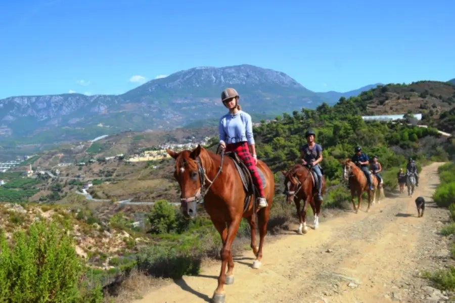 Alanya Horse Riding Tour: Horseback Riding Adventure