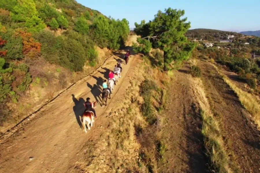 Alanya Horse Riding Tour: Horseback Riding Adventure