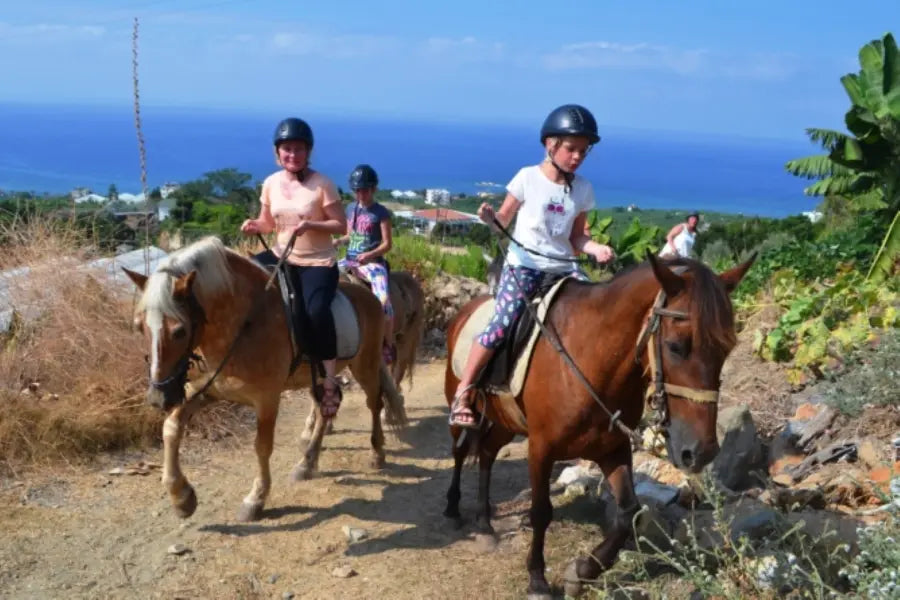 Alanya Horse Riding Tour: Horseback Riding Adventure