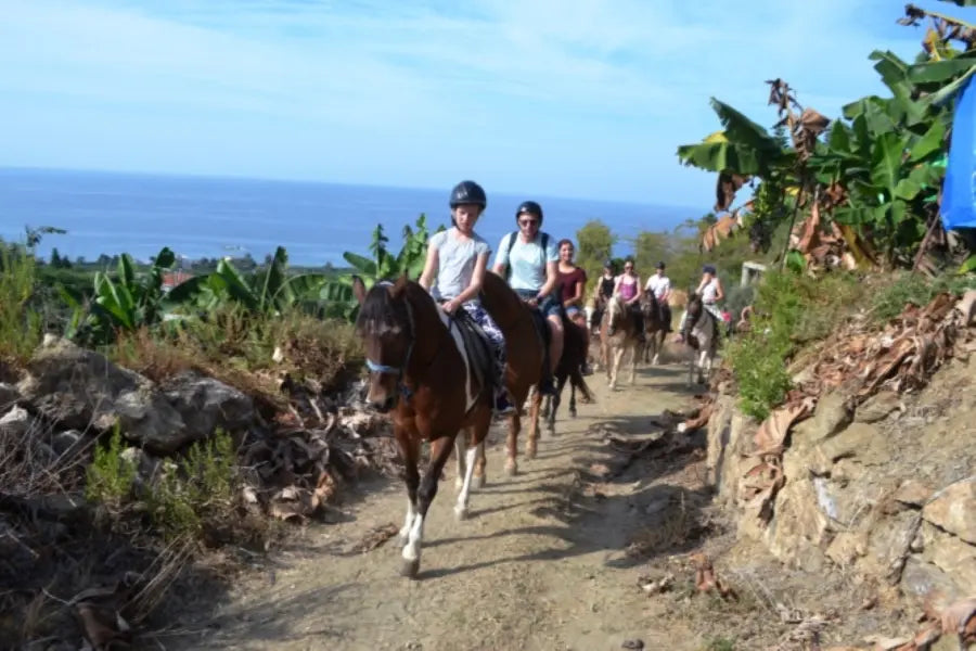 Alanya Horse Riding Tour: Horseback Riding Adventure