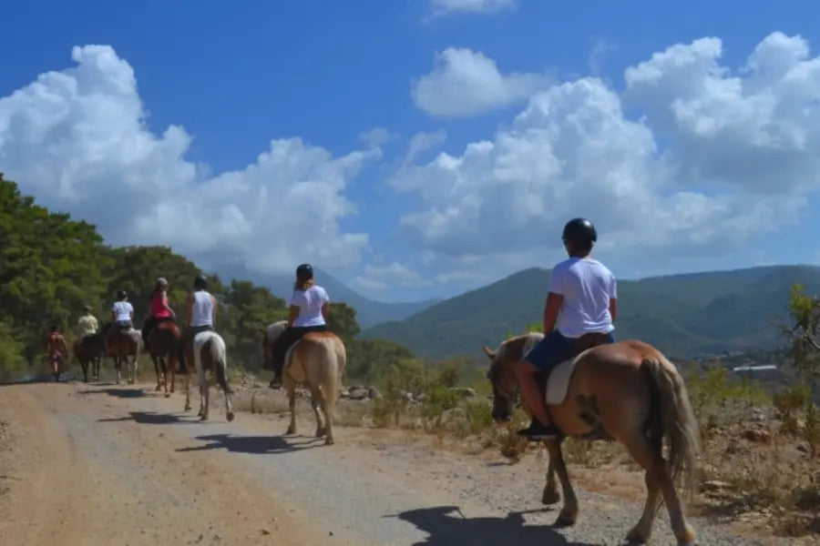 Alanya Horse Riding Tour: Horseback Riding Adventure