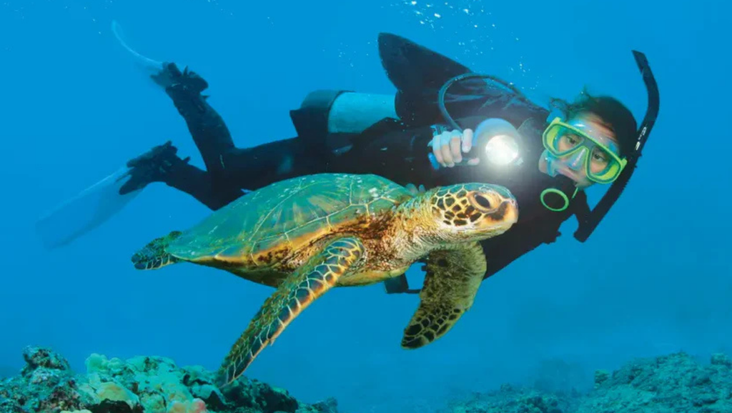 Alanya Scuba Diving Tour with underwater adventure, marine life and clear Mediterranean waters