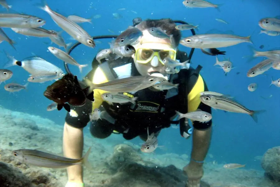 Alanya Scuba Diving Tour with underwater adventure, marine life and clear Mediterranean waters