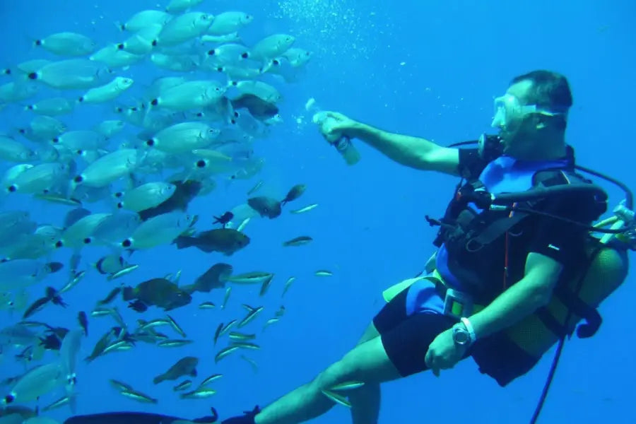 Alanya Scuba Diving Tour with underwater adventure, marine life and clear Mediterranean waters