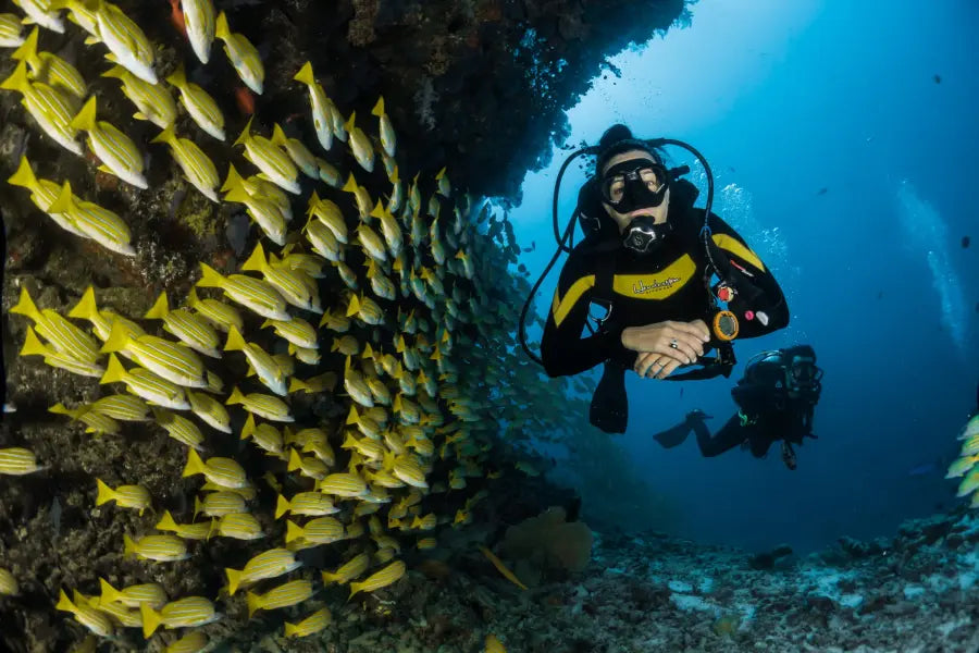 Alanya Scuba Diving Tour with underwater adventure, marine life and clear Mediterranean waters