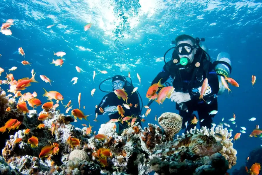 Alanya Scuba Diving Tour with underwater adventure, marine life and clear Mediterranean waters