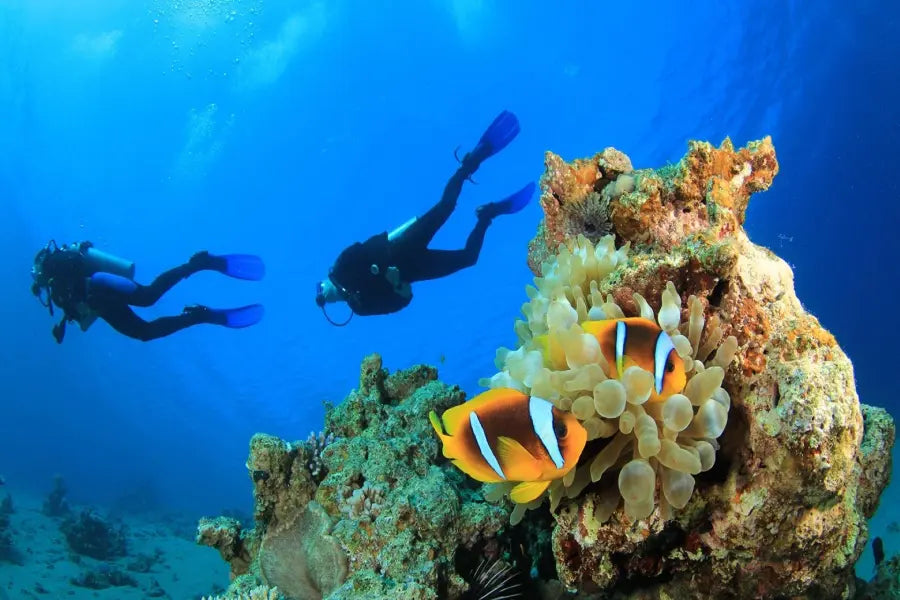 Alanya Scuba Diving Tour with underwater adventure, marine life and clear Mediterranean waters