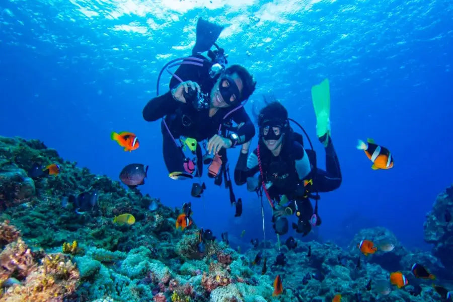 Alanya Tüplü Dalış Turu: Akdenizin Derinliklerine Yolculuk