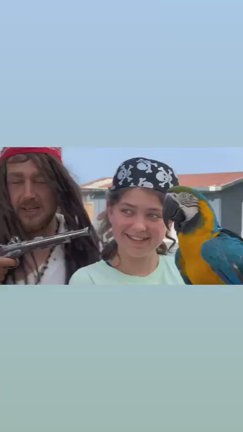Side Korsan Tekne Turu